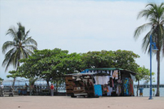 Puntarenas (Puerto Caldera) City Tour cruise excursion